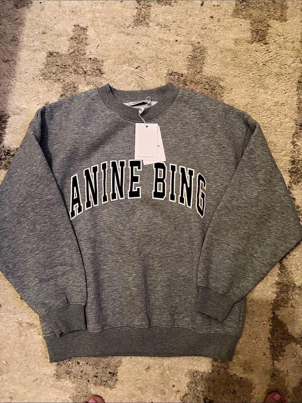 ANINE BING Lili Sweatshirt Graphic Sweatshirt in Gray Size Small NWT